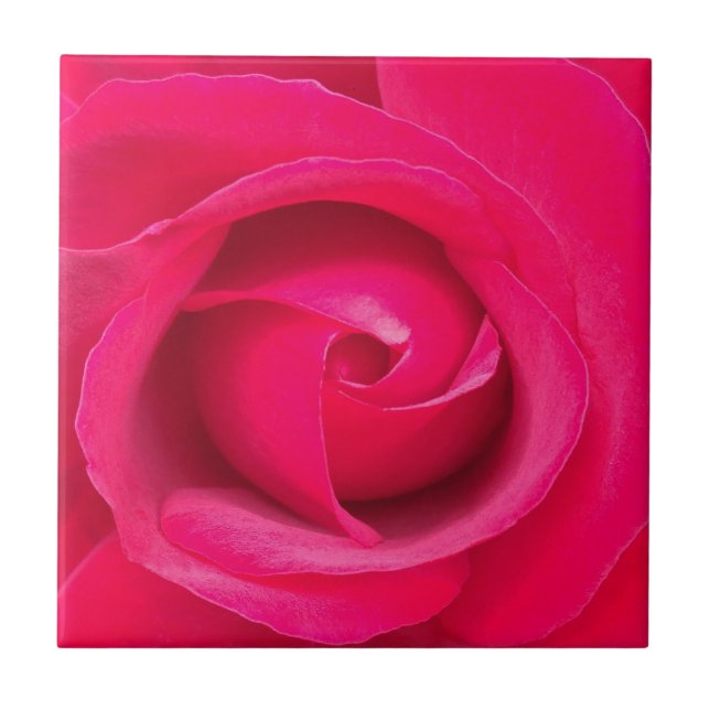 Azulejo De Cerámica Rosa rosa rojo romántico (Frente)