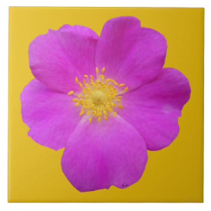 Azulejo De Cerámica Rosa salvaje 2