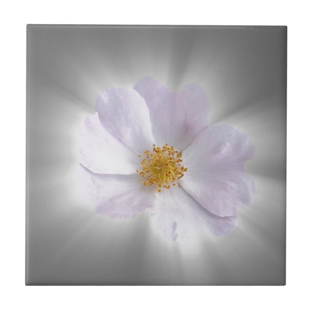 Azulejo De Cerámica rosa y gris (Frente)