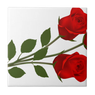 Azulejo De Cerámica Rosas provenidos largos
