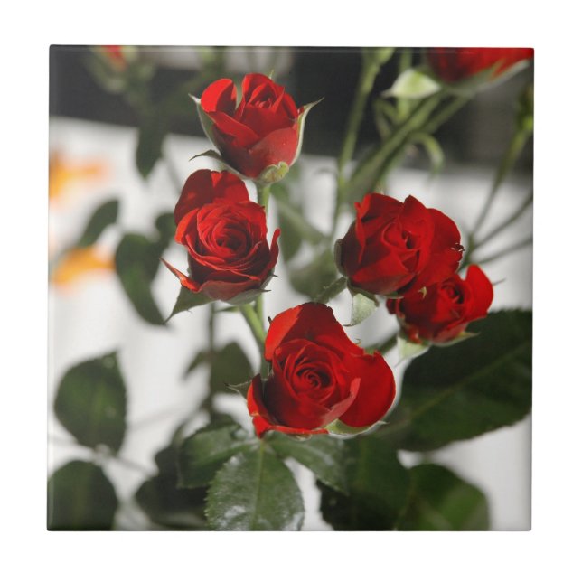 Azulejo De Cerámica Rosas rojas (Frente)