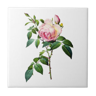 Azulejo De Cerámica Rosas rosados de Redoute