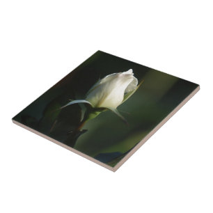 Azulejo De Cerámica Rosebud blanco