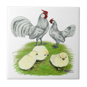 Azulejo De Cerámica Rosecomb Bantams y Chicles