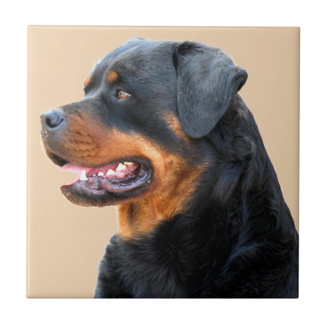 Azulejo De Cerámica Rottweiler (Frente)