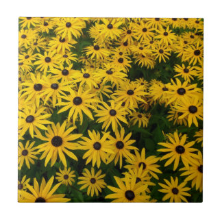Azulejo De Cerámica Rudbeckia Hirta (Susans de ojos negros)