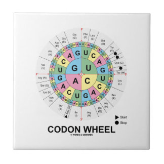 Azulejo De Cerámica Rueda del codón (aminoácidos de los codones del