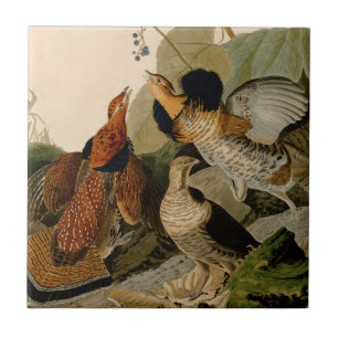 Azulejo De Cerámica Ruffed Grouse Audubon Game Bird