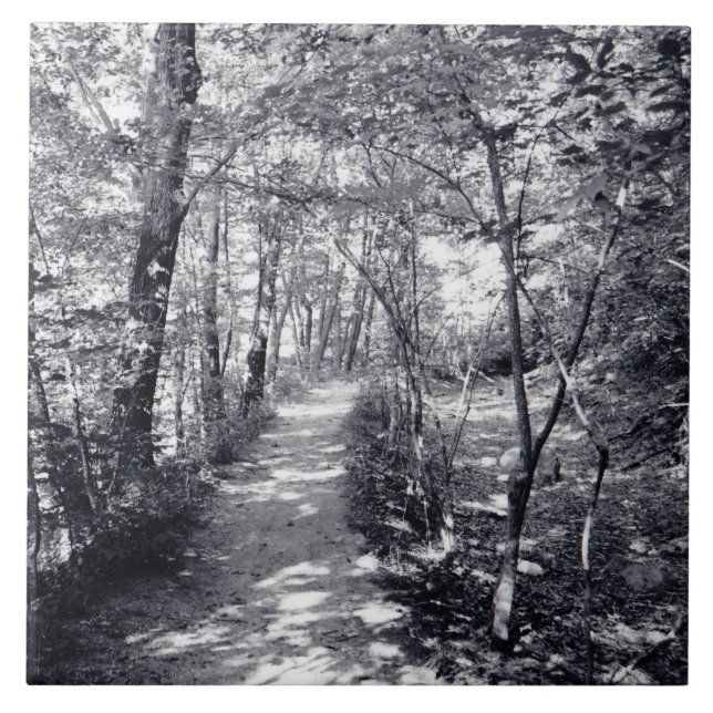 Azulejo De Cerámica Ruta de la Fe (Frente)