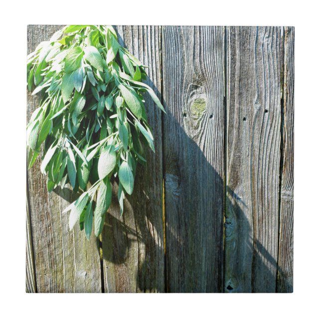 Azulejo De Cerámica Sage Barn-wood de corte fresco (Frente)