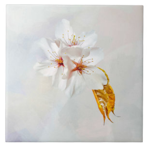 Azulejo De Cerámica Sakura - Flor japonesa de cerezo