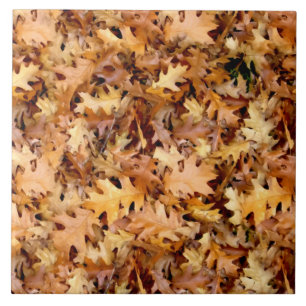 AZULEJO DE CERÁMICA SALIDAS DE AUTUMN