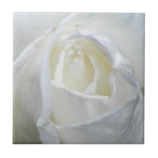 Azulejo De Cerámica San Valentín de fotos de la rosa blanca