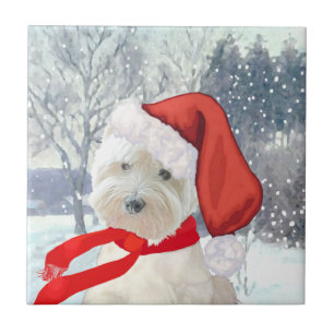 Azulejo De Cerámica Santa en Boots