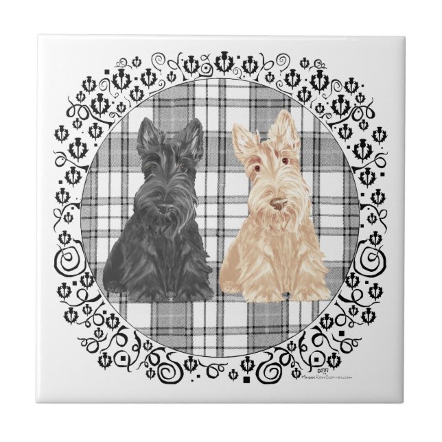 Azulejo De Cerámica Scotties de tartán (Frente)