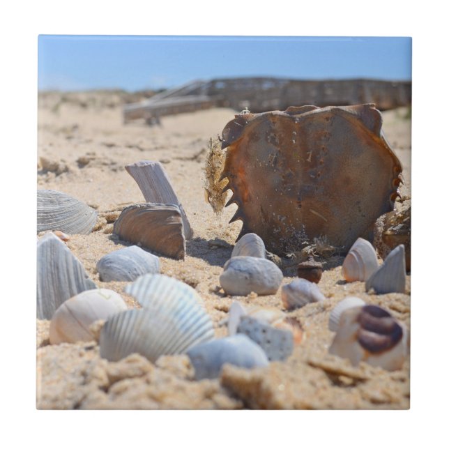 Azulejo De Cerámica Seashells On The Beach by Shirley Taylor (Frente)
