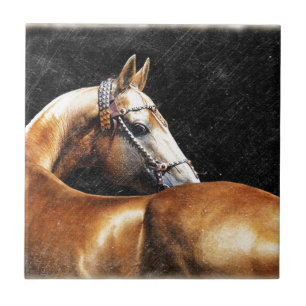 Azulejo De Cerámica Semental de Akhal-teke del Palomino