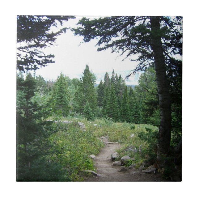 Azulejo De Cerámica Sendero Grand Teton (Frente)