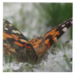 Azulejo De Cerámica Señora pintada Butterfly