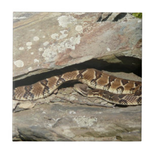 Azulejo De Cerámica Serpiente de cascabel en el Parque Nacional Shenan