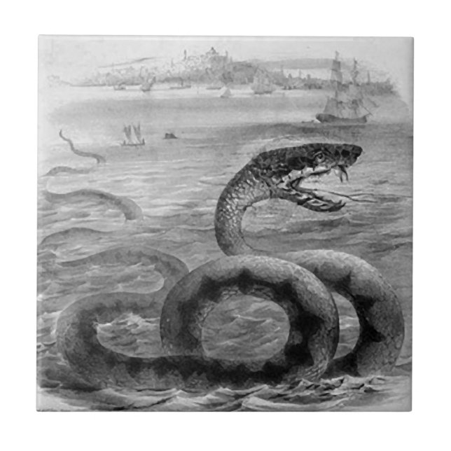 Azulejo De Cerámica Serpiente de mar/serpiente (Frente)
