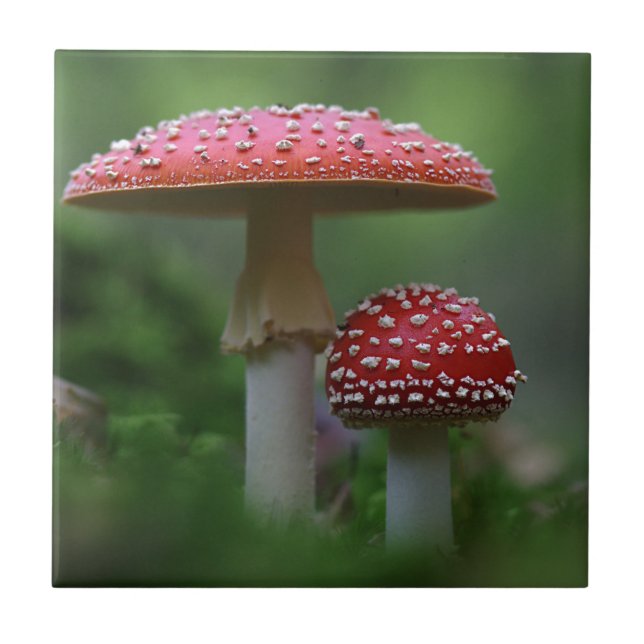 Azulejo De Cerámica Setas mágicas (Frente)