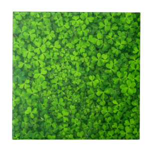 Azulejo De Cerámica Shamrock Clovers Green Irish Symbol Irlanda