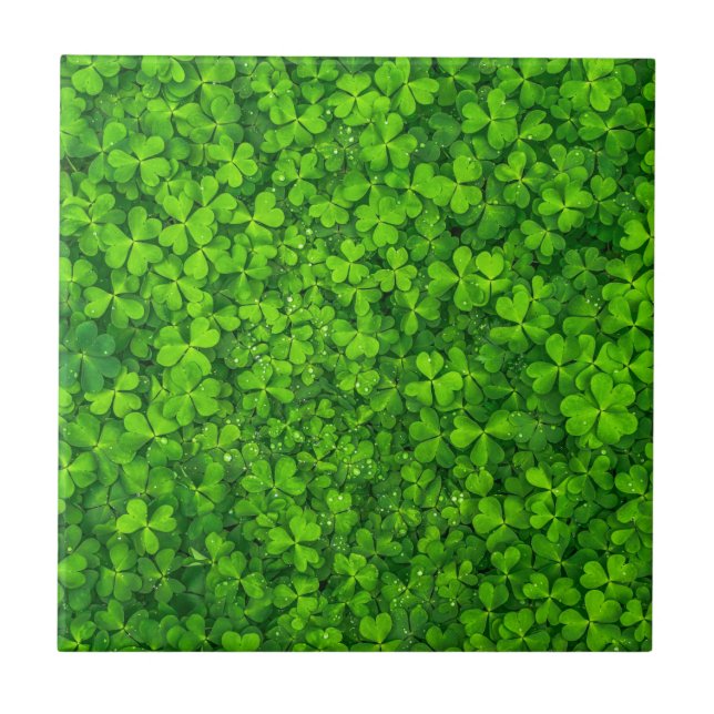 Azulejo De Cerámica Shamrock Clovers Green Irish Symbol Irlanda (Frente)