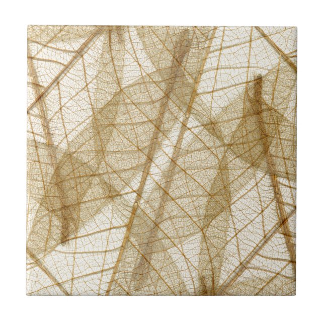Azulejo De Cerámica Sheer Cream Beige Lace Leaves (Frente)