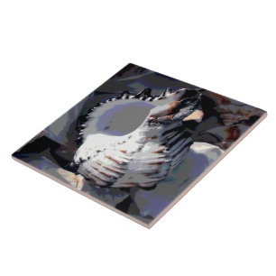 Azulejo De Cerámica Shell de mar a rayas