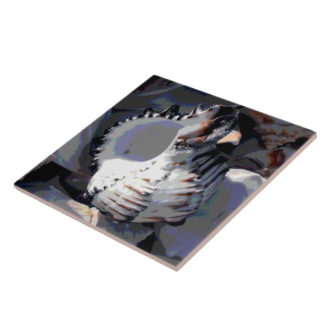 Azulejo De Cerámica Shell de mar a rayas (Lado)