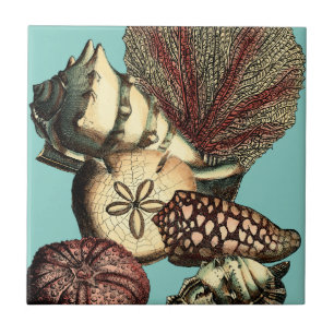 Azulejo De Cerámica Shell turquesa y colección de corales rojos