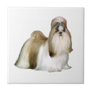 Azulejo De Cerámica Shih Tzu (Estándar de exposición)