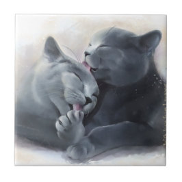 Azulejo De Cerámica Shorthair británico