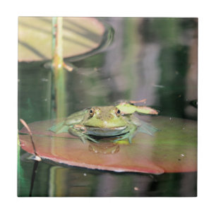 Azulejo De Cerámica Sí