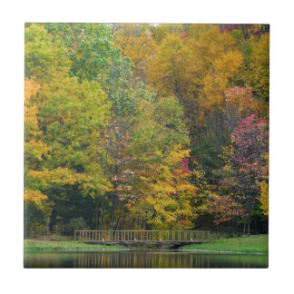 Azulejo De Cerámica Siete Springs Fall Bridge II Paisaje de Otoño
