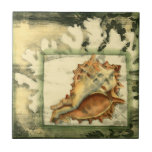 Azulejo De Cerámica Silhouette Conch Shell<br><div class="desc">Relájese con esta obra de arte contemporáneo de Jennifer Goldberger. Su colección de arte de conchas marinas es relajante y inspiradora. Esta obra de arte se centra en una gran concha de concha rodeada de arrecifes de coral verdes. Obtén este hermoso arte oceánico hoy con un toque de silueta en...</div>