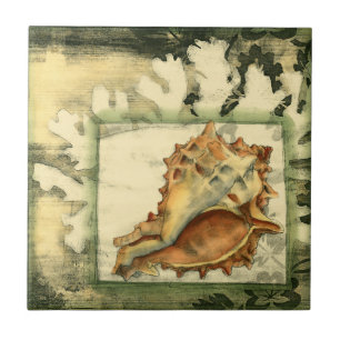 Azulejo De Cerámica Silhouette Conch Shell