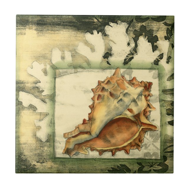 Azulejo De Cerámica Silhouette Conch Shell (Frente)
