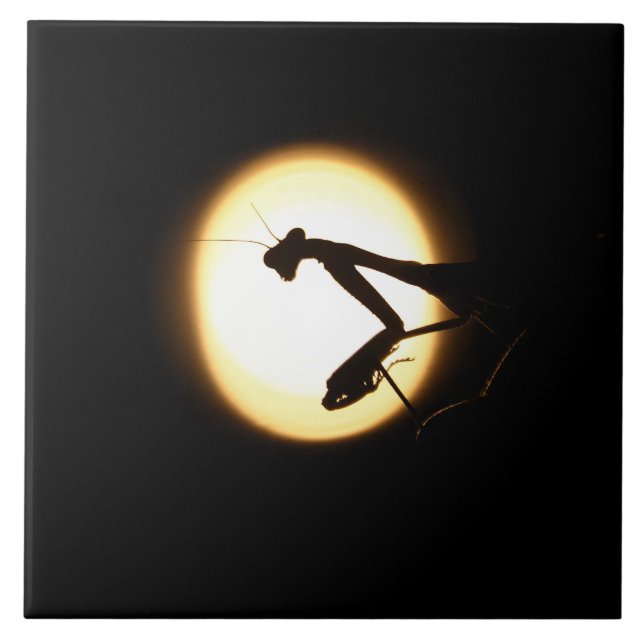 Azulejo De Cerámica Silueta de Mantis Religiosa (Frente)