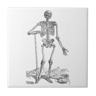 Azulejo De Cerámica Skeleton