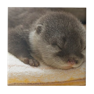 Azulejo De Cerámica Sleepy Otter