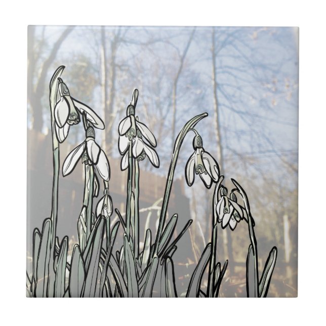 Azulejo De Cerámica Snowdrops (Frente)