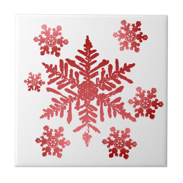 Azulejo De Cerámica Snowflake Tile Trivet (Frente)
