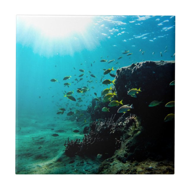 Azulejo De Cerámica Sol y pescados tropicales (Frente)