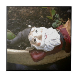 Azulejo De Cerámica Solo Chillin, un gnomo de jardín