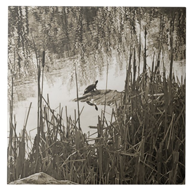 Azulejo De Cerámica Solsticio de invierno (Frente)