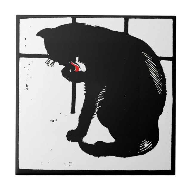 Azulejo De Cerámica Sorprendente gato de montaña rusa para animales de (Frente)