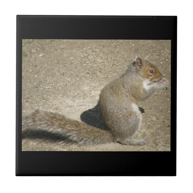 Azulejo De Cerámica Squirrel Hungry Horatio Tile (Frente)