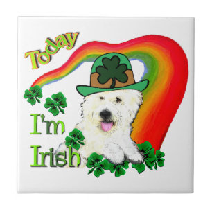 Azulejo De Cerámica St Pats, West Highland White Terrier